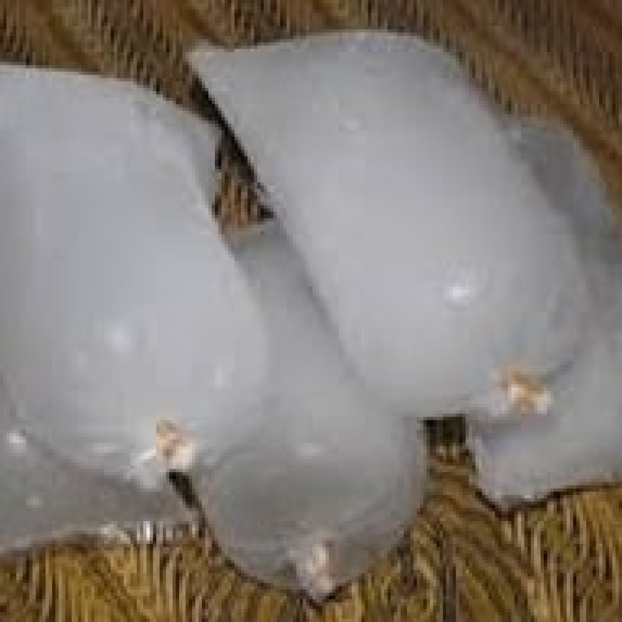 es batu