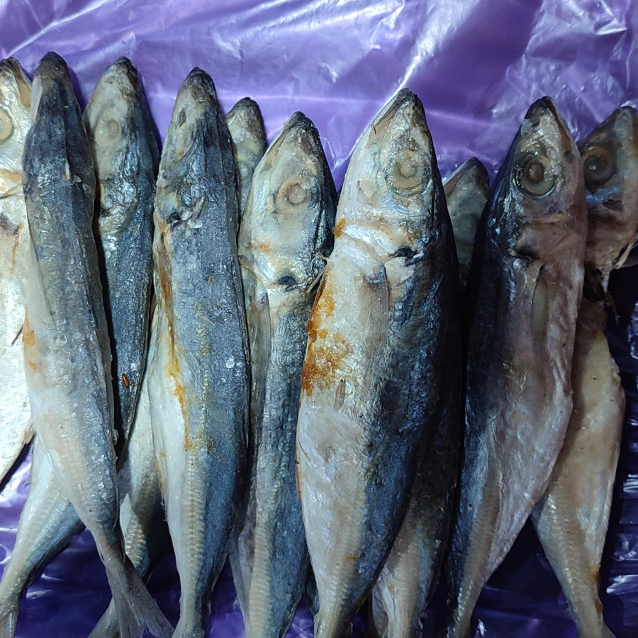Ikan Peda Segar