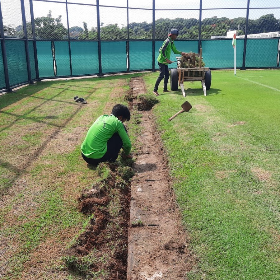 PERAWATAN RUMPUT LAPANGAN SEPAKBOLA - detail