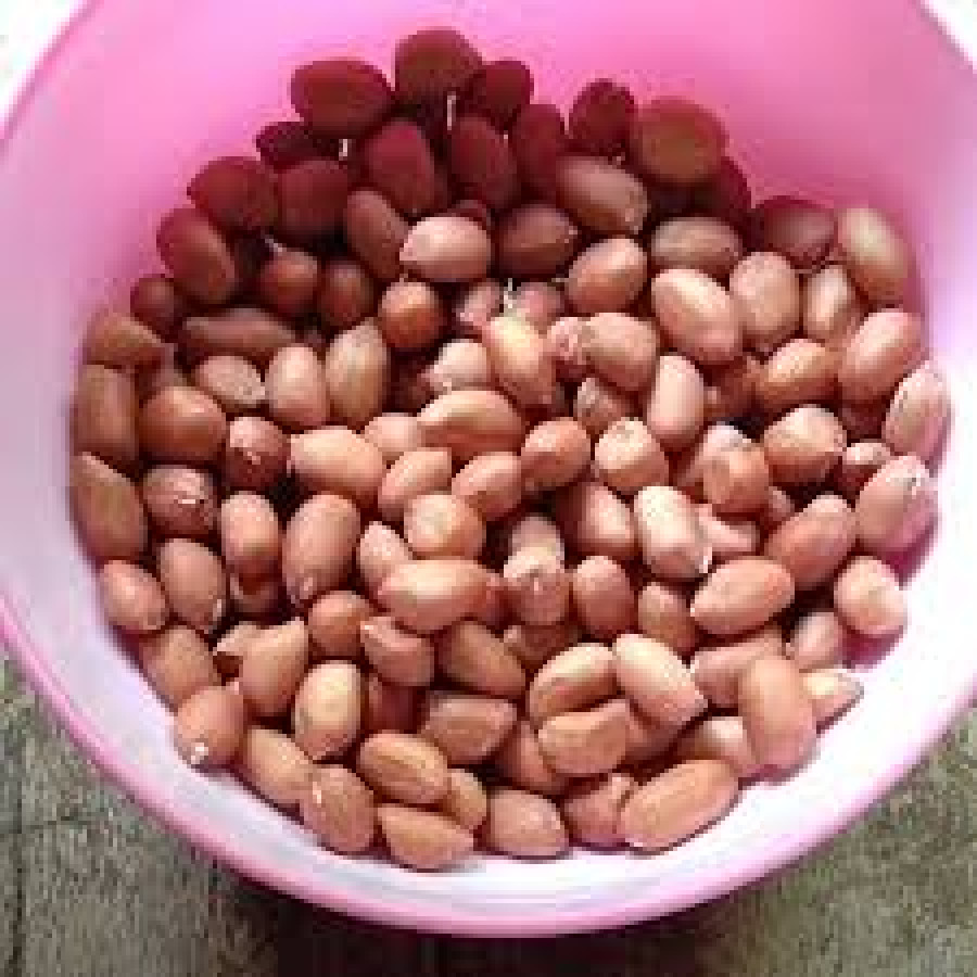 Kacang Tanah