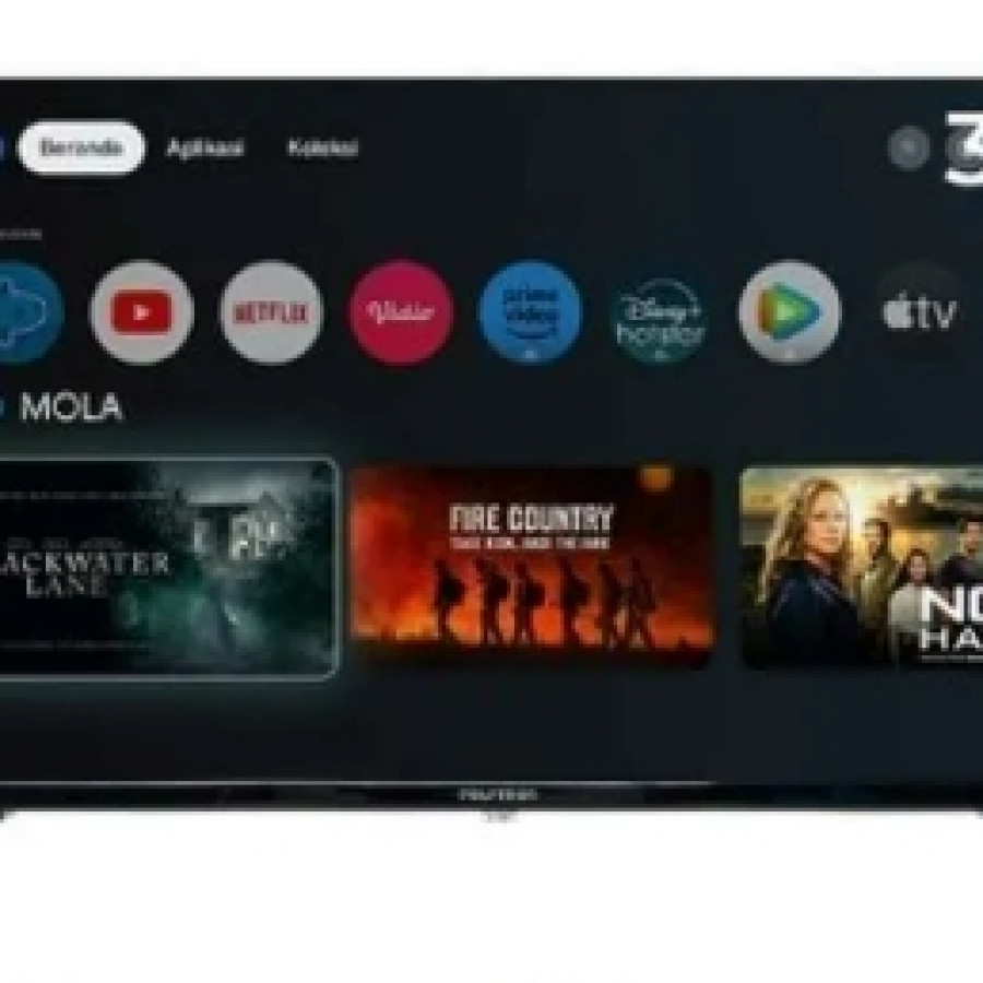 POLYTRON Smart Cinemax Google TV 32 Inch PLD 32RG5059 Include Wall Bracket