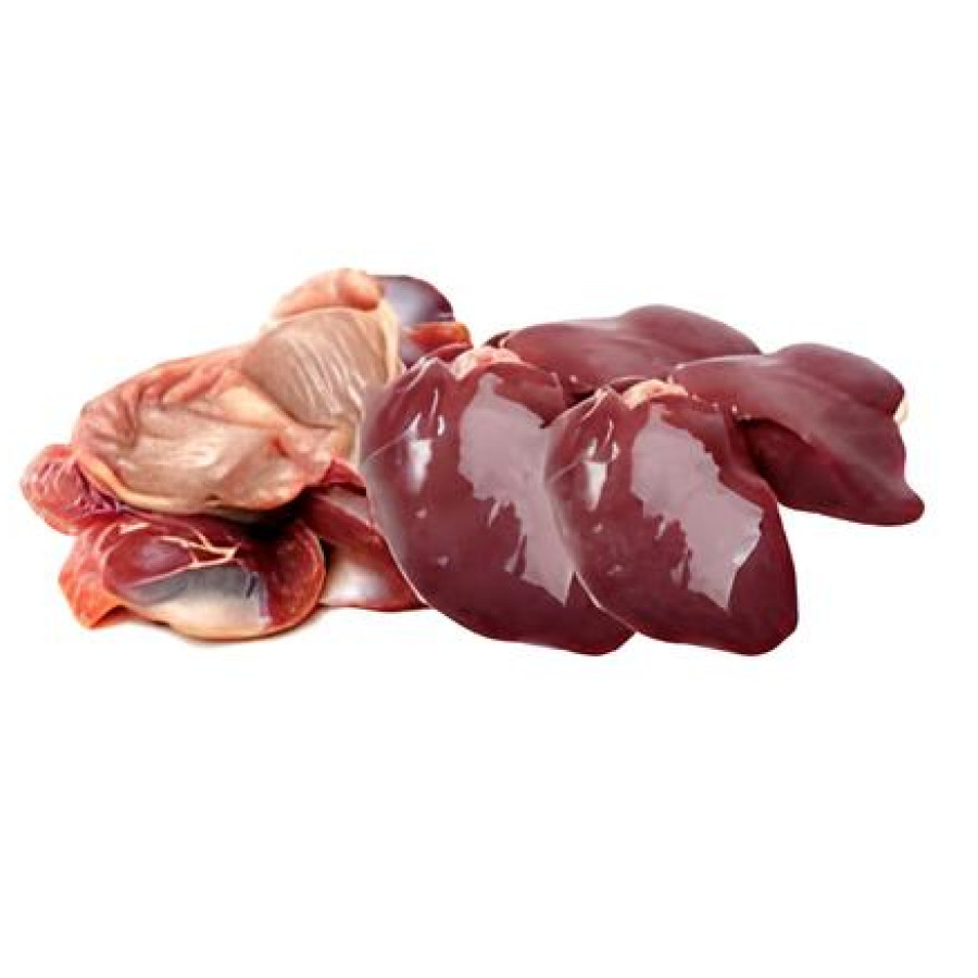 Ampela Ati Ayam