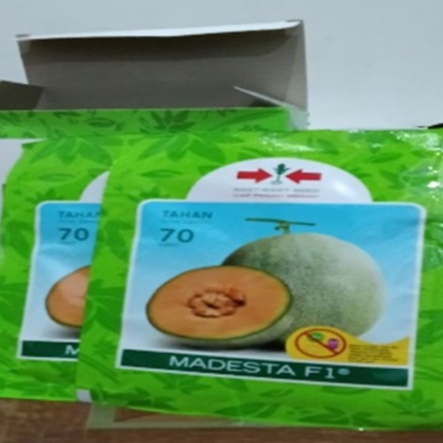 Benih Melon Madesta F1