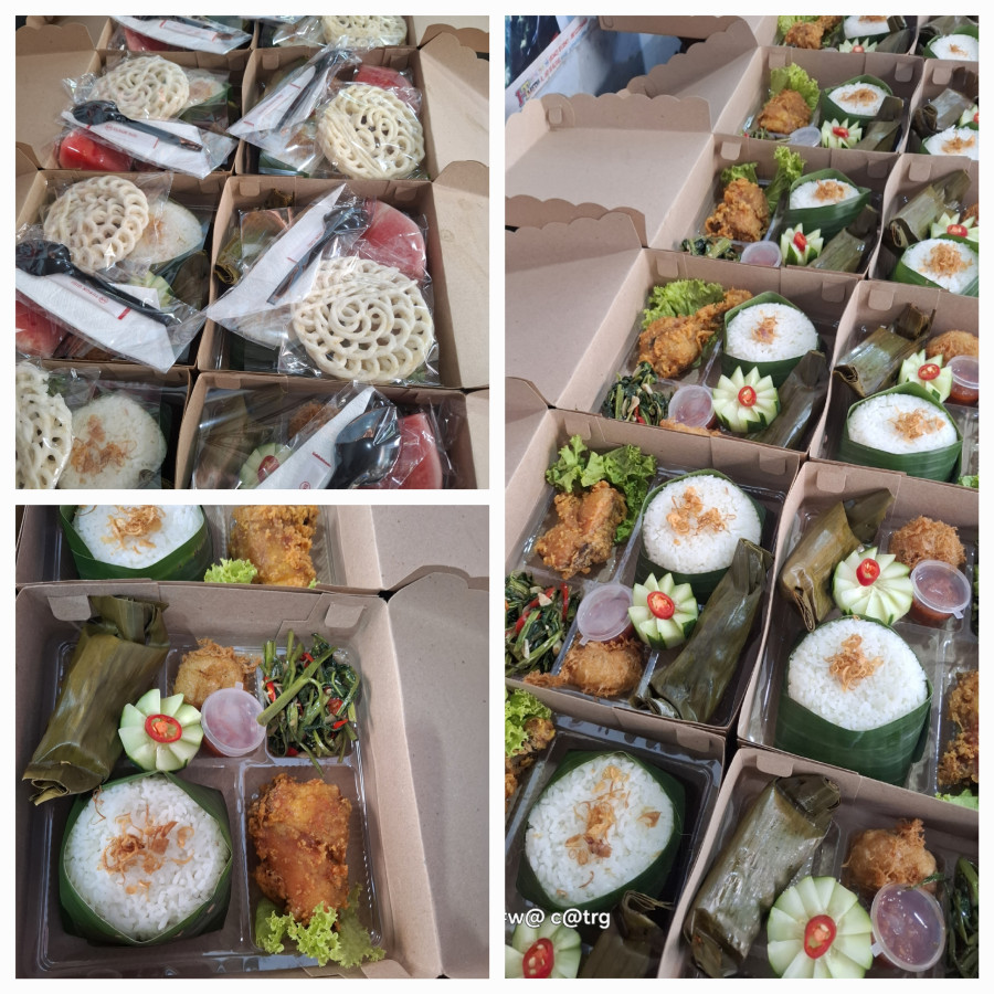 Nasi kotak DAP 1 - detail