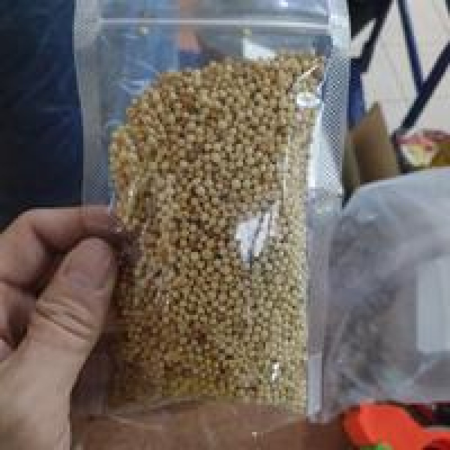 ketumbar 500 Gram