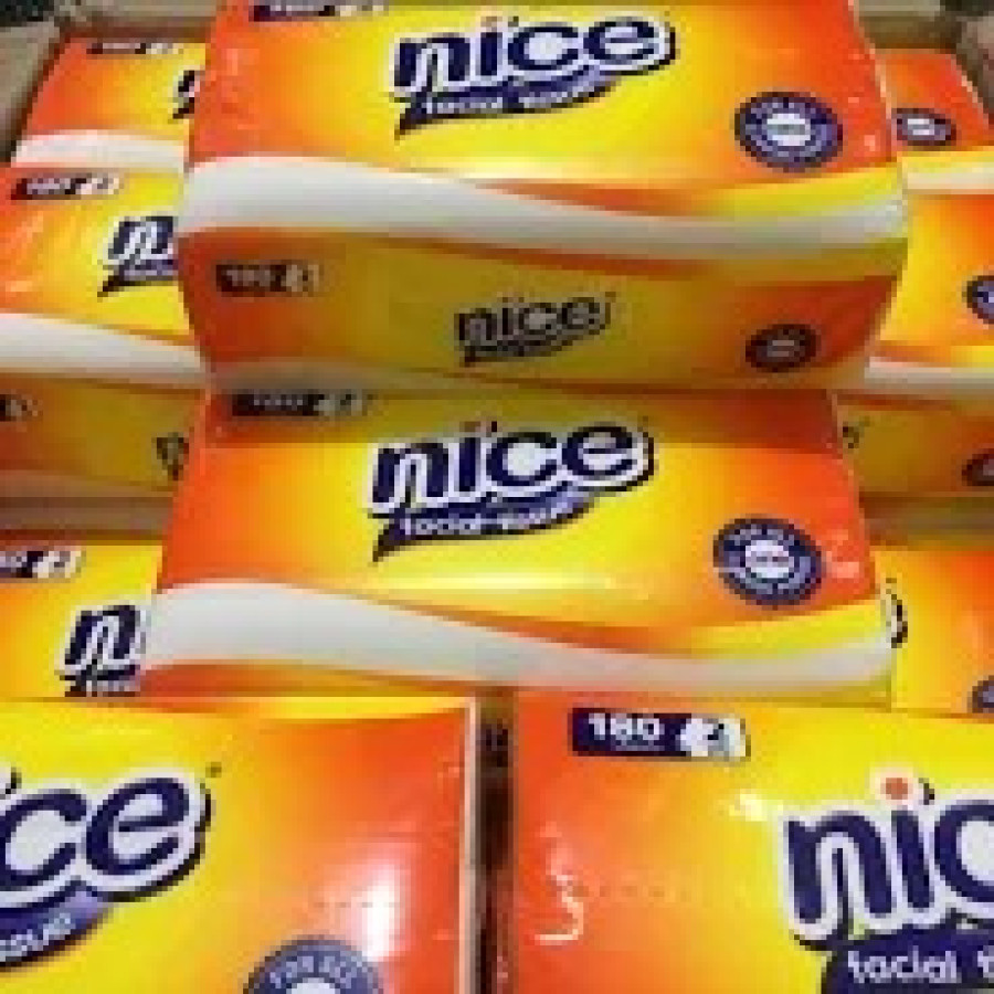 tisu 2 ply nice