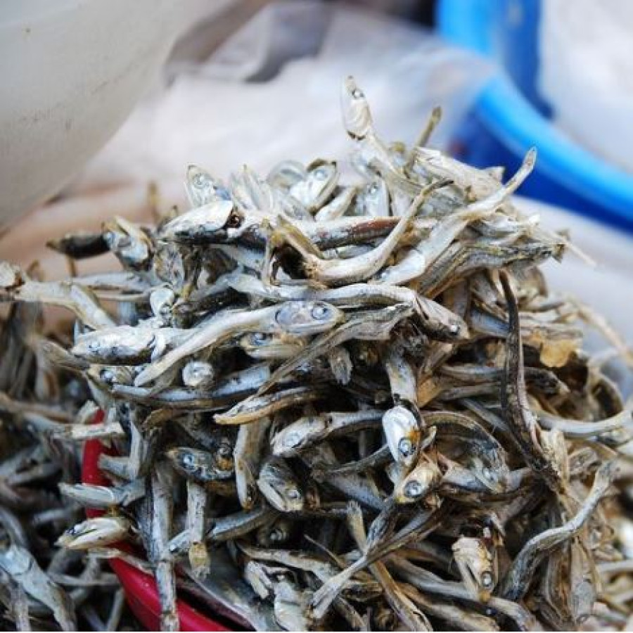 Ikan Teri Kering