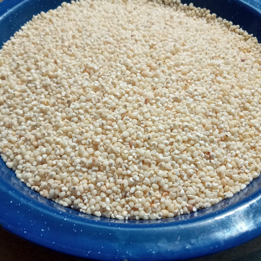 Beras Sorghum Putih  Curah - depan