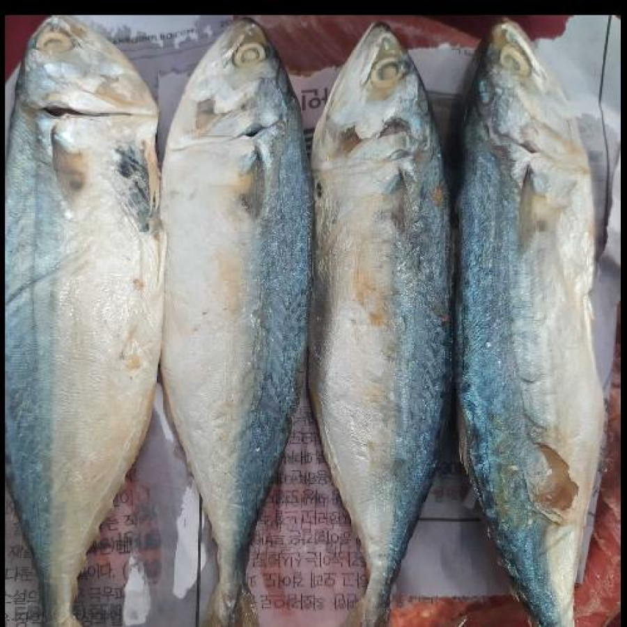 IKAN PEDA