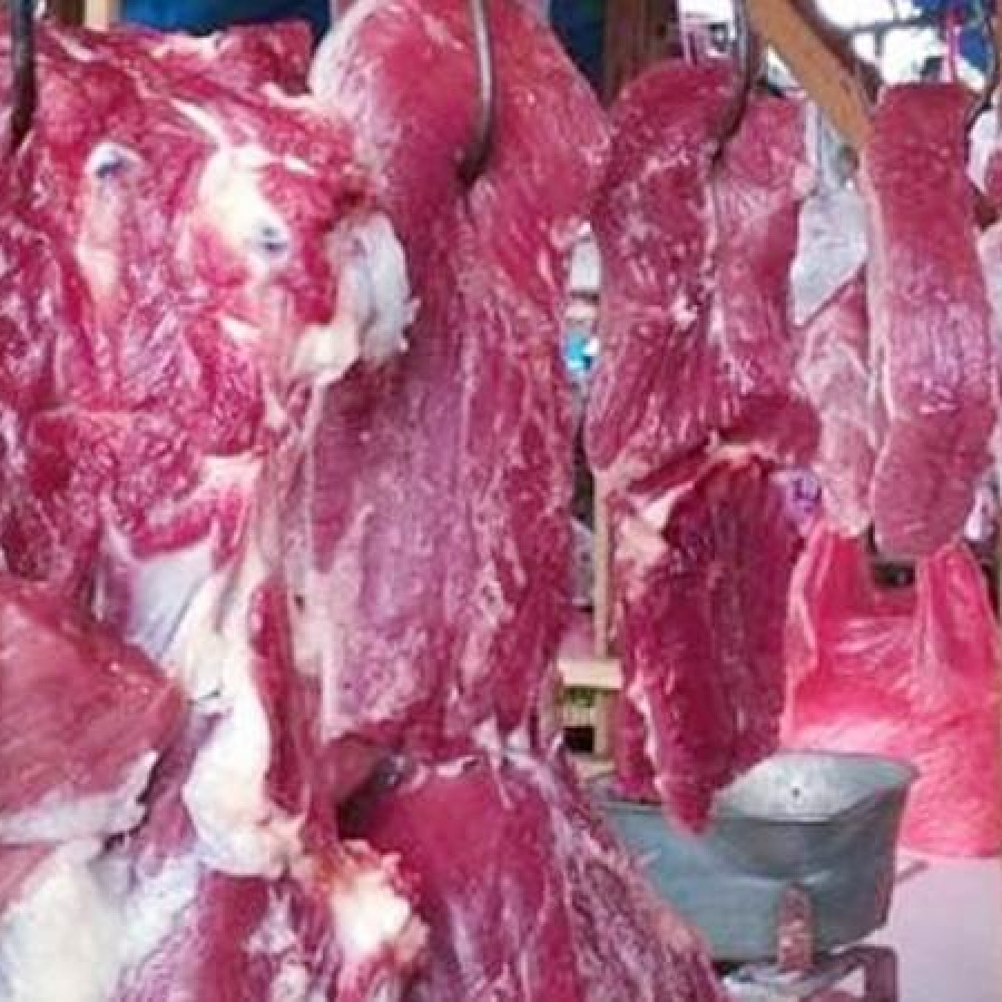 Daging sapi
