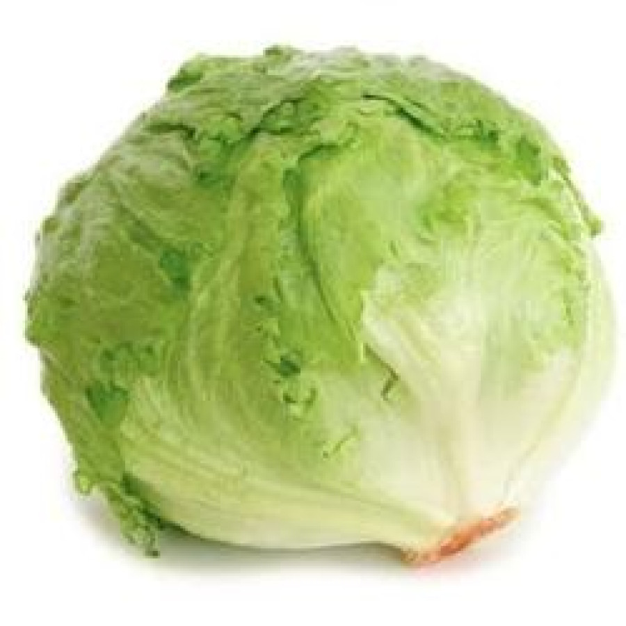 Head Lettuce