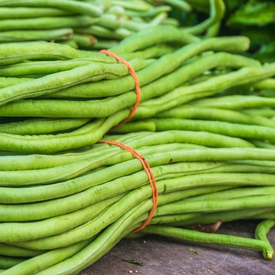 Kacang Panjang