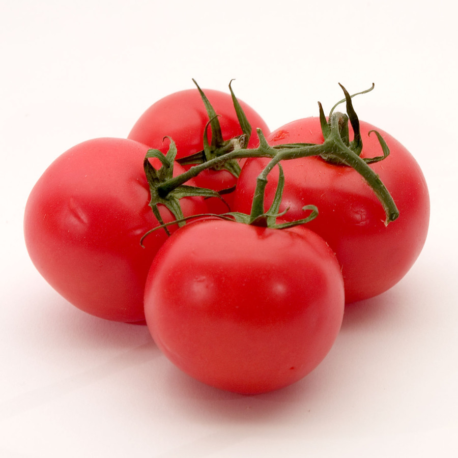 Tomat 15 Buah/Kg