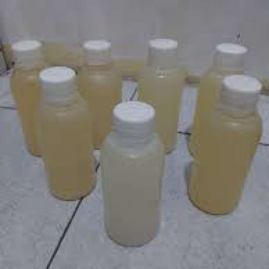 Bibit Parfum Murni