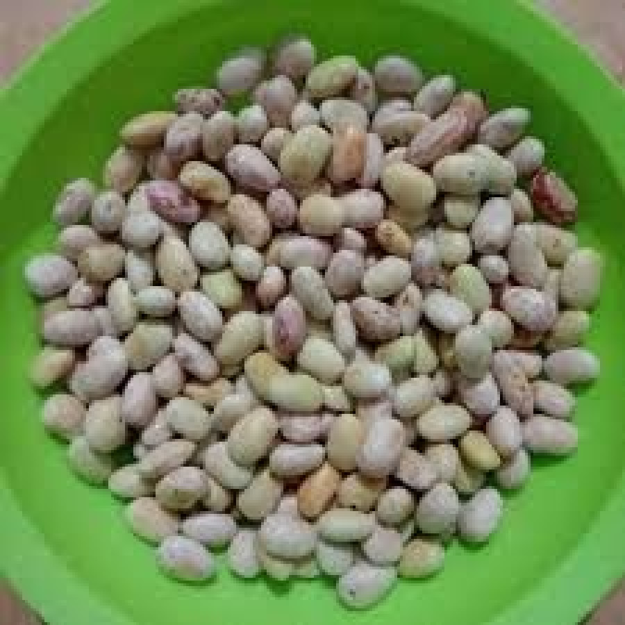 Kacang Endul