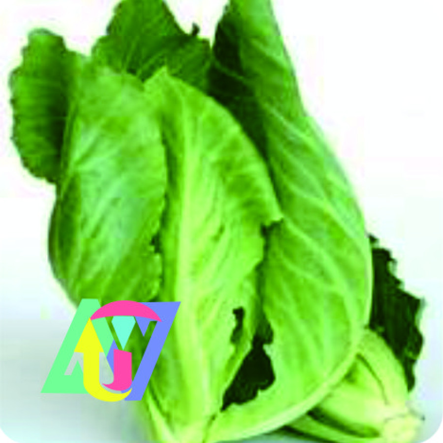 CERIWIS