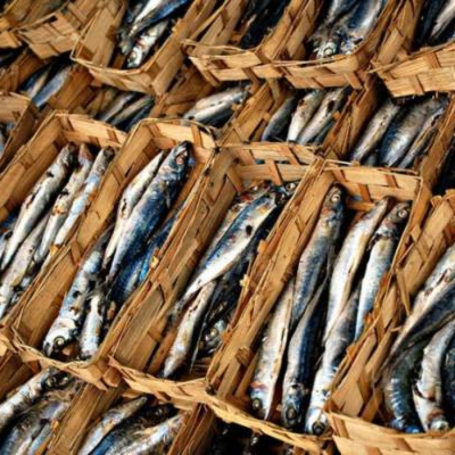 Ikan Pindang