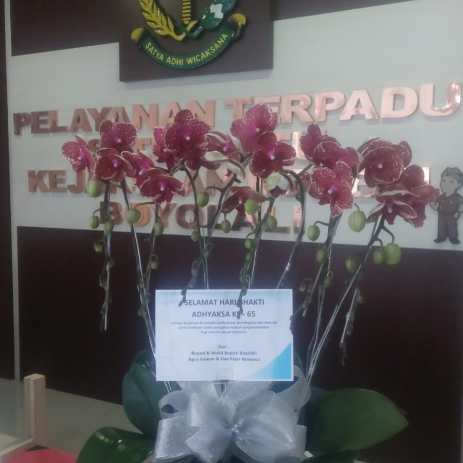 Tanaman Anggrek Ucapan