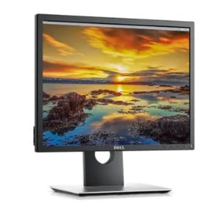 DELL Monitor [P1917S]