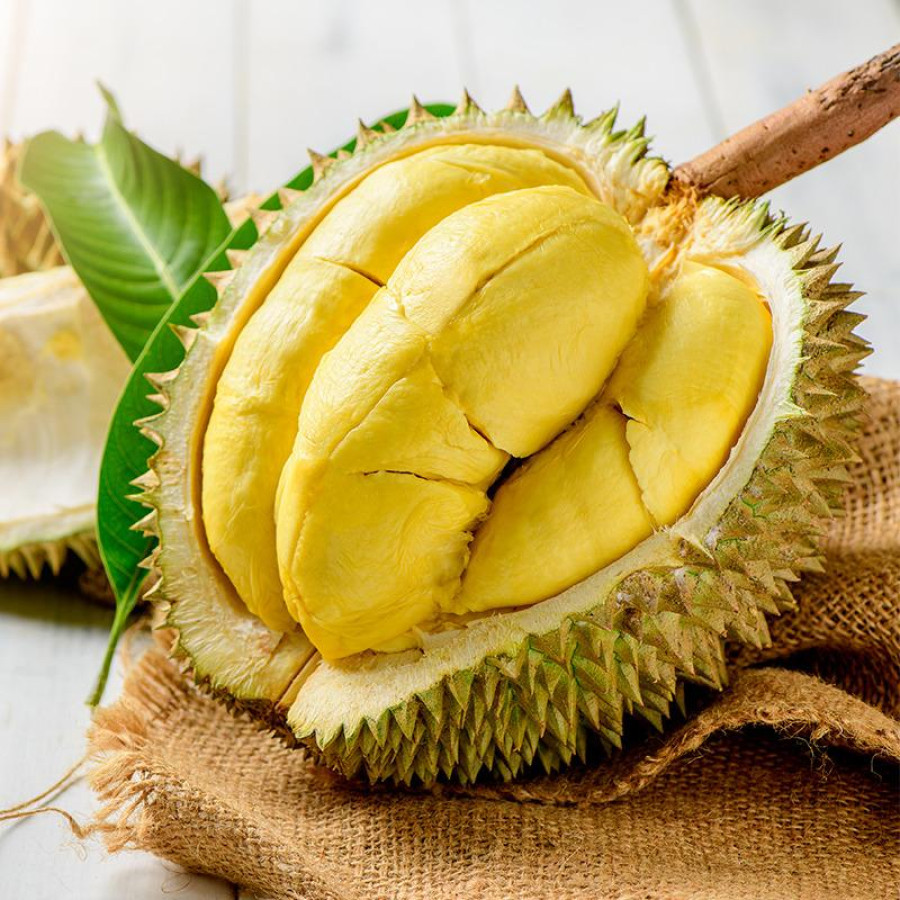 Durian Montong - utama