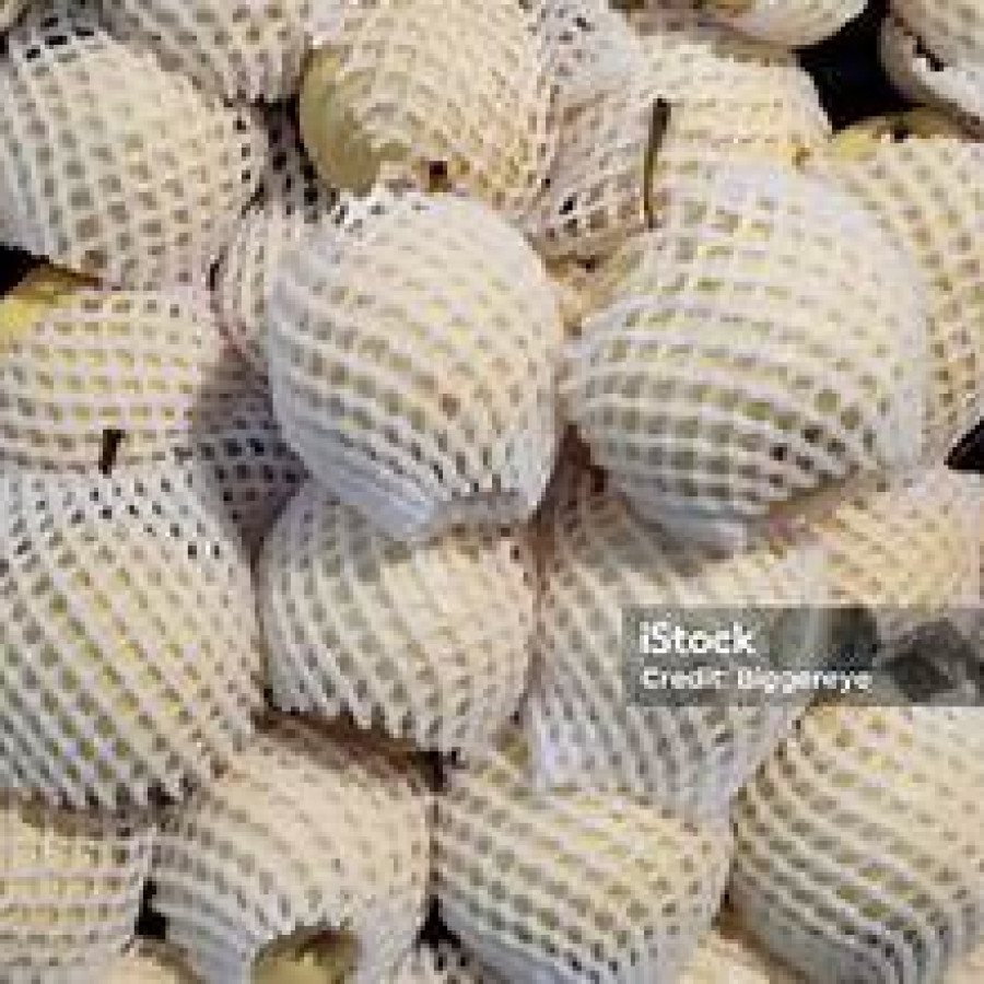 buah pir 1 kg - utama