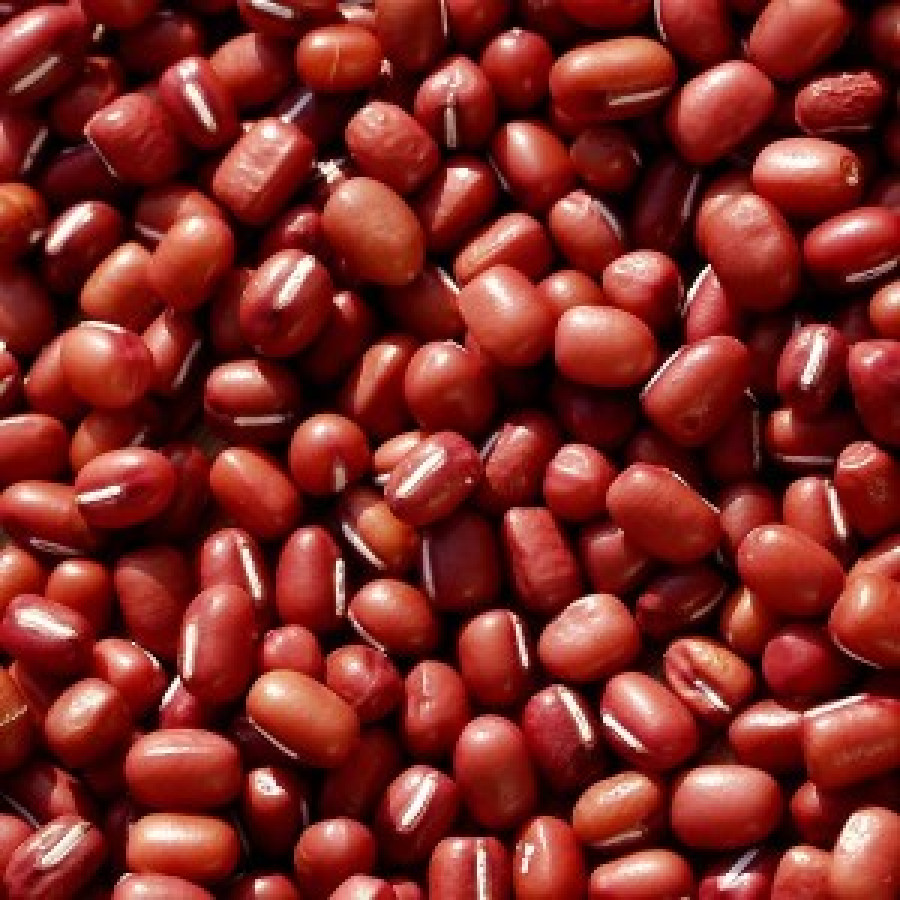 Sayuran Kacang Merah