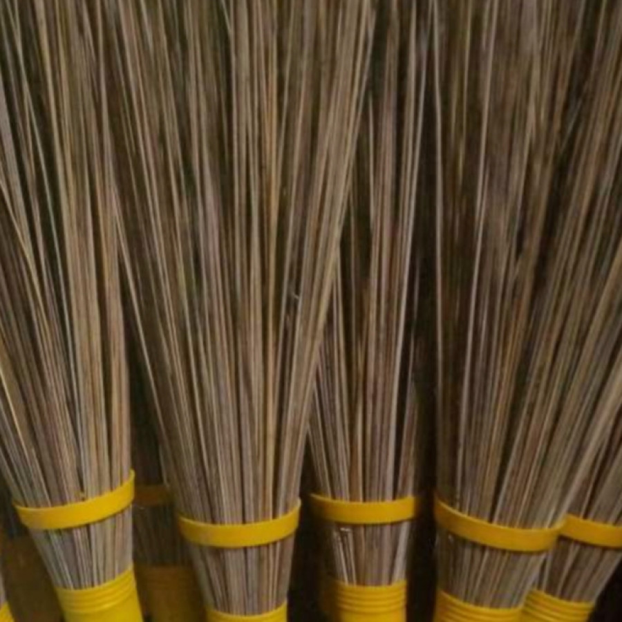 SAPU TAMAN LIDI GAGANG