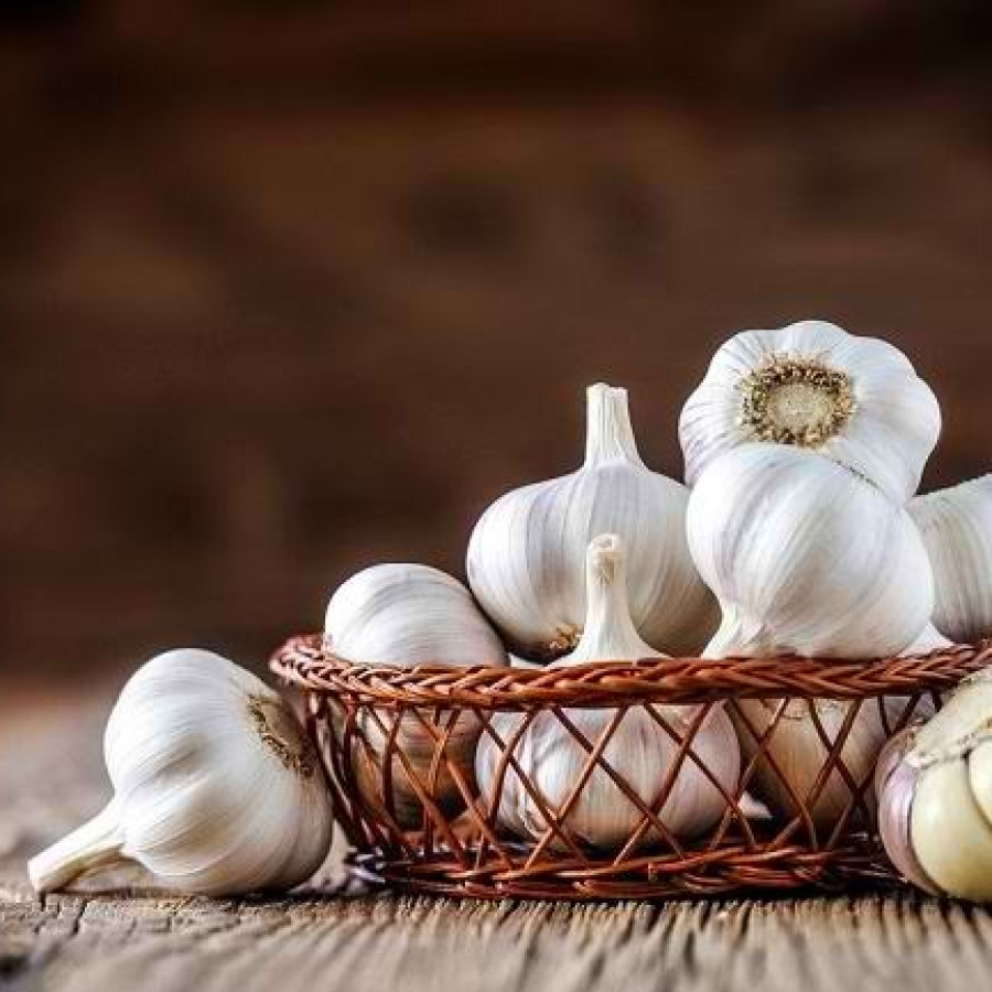 BAWANG PUTIH