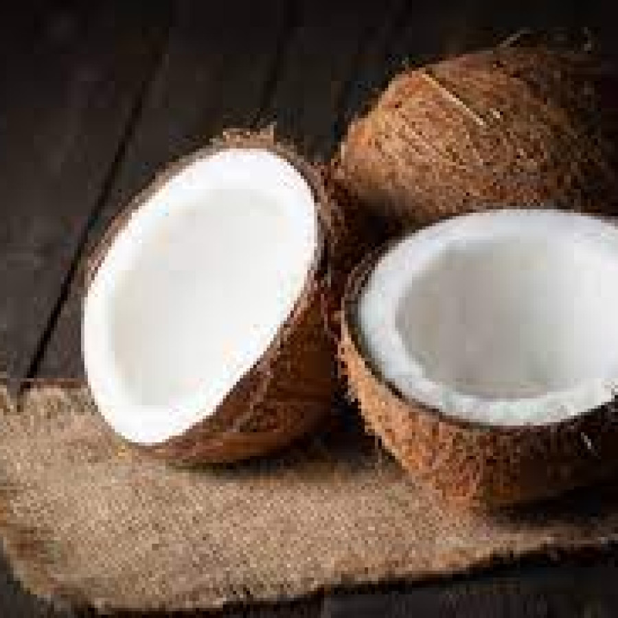 Kelapa Tua
