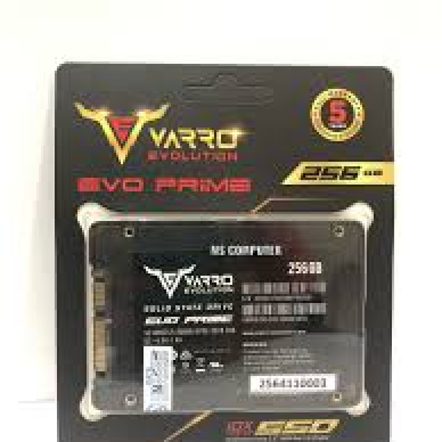 SSD 256 Gigabyte - detail