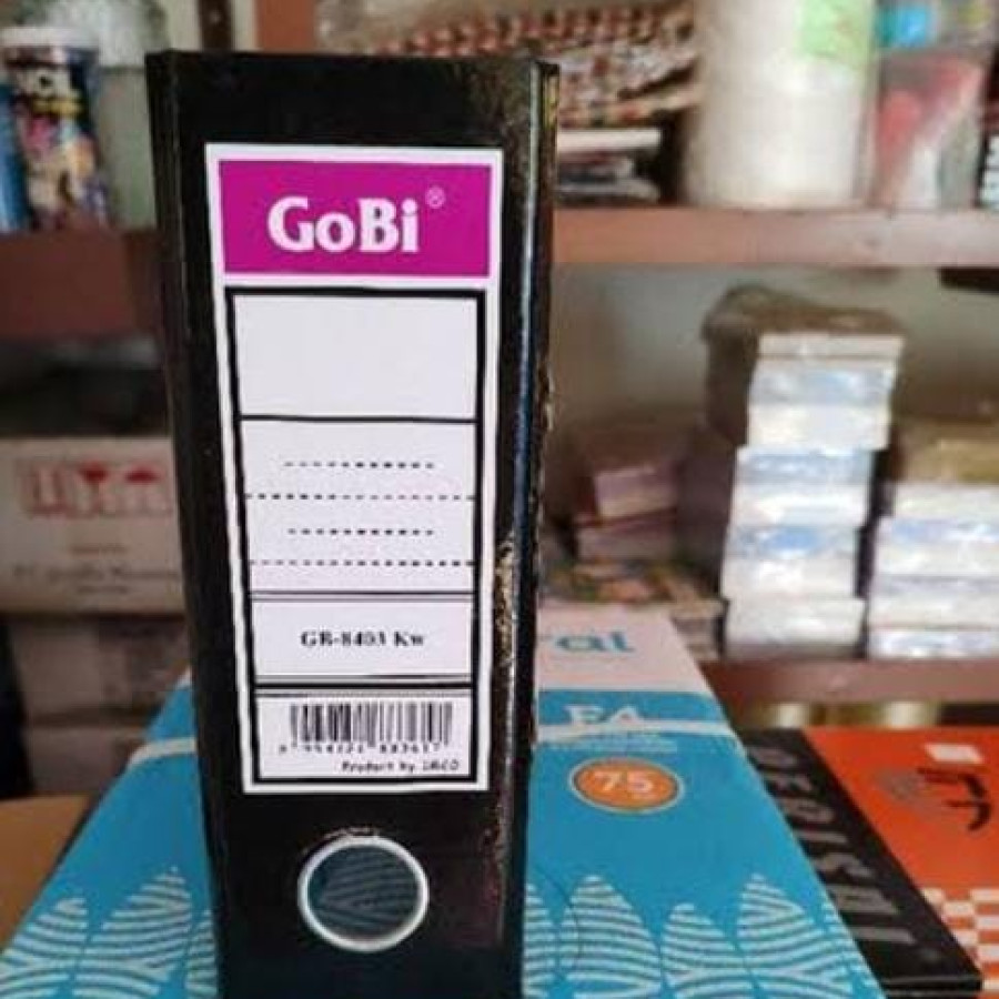 Ordner Karton GOBI