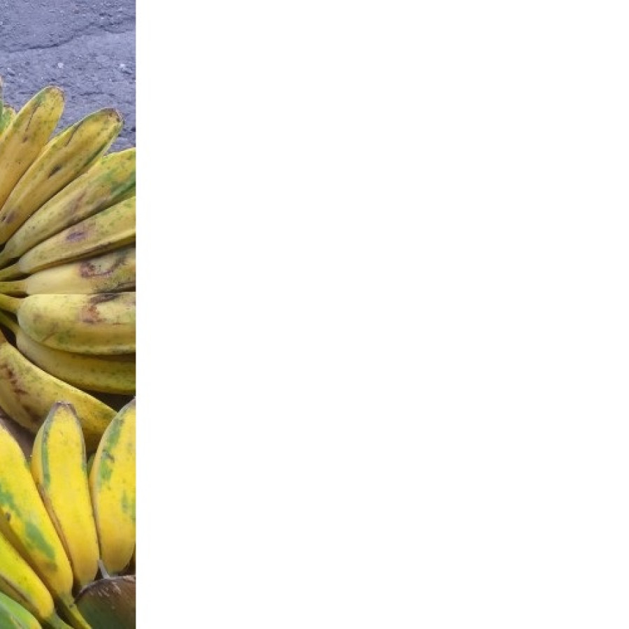 PISANG KEPOK