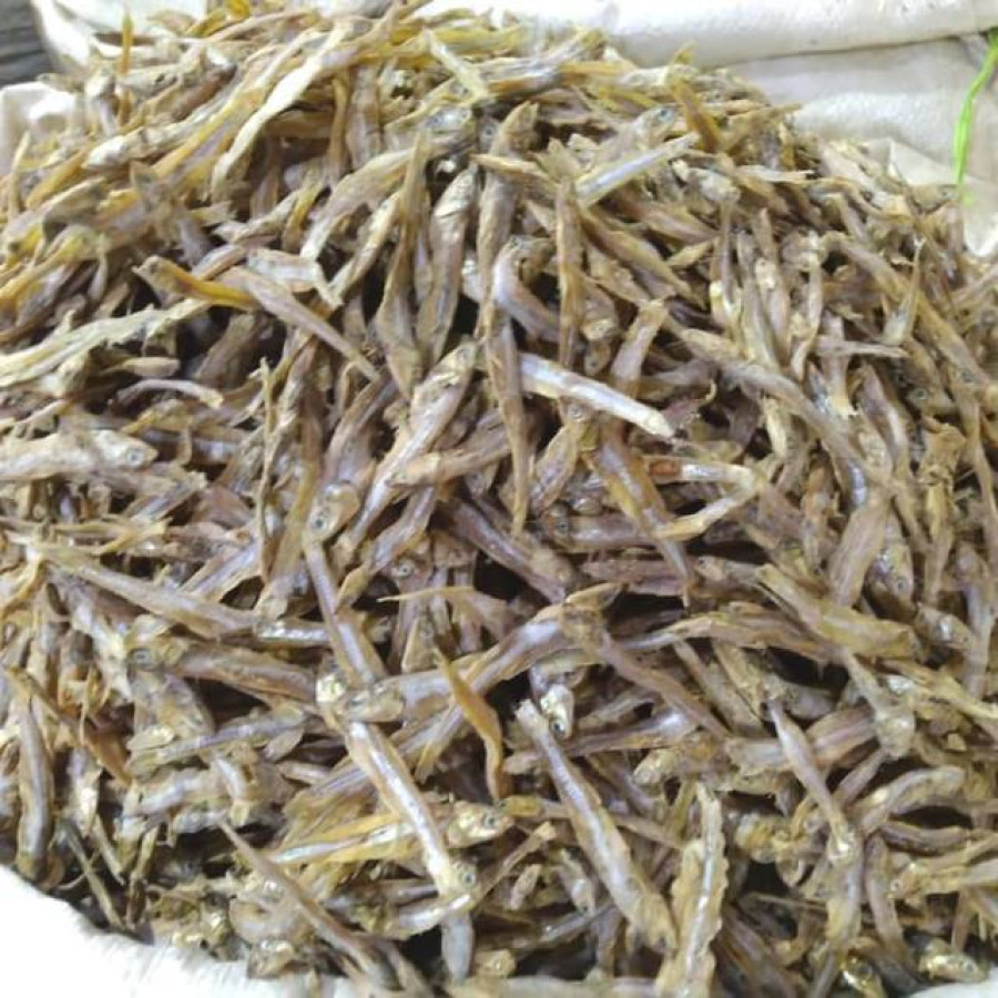 Ikan Teri Kering 1 Kg