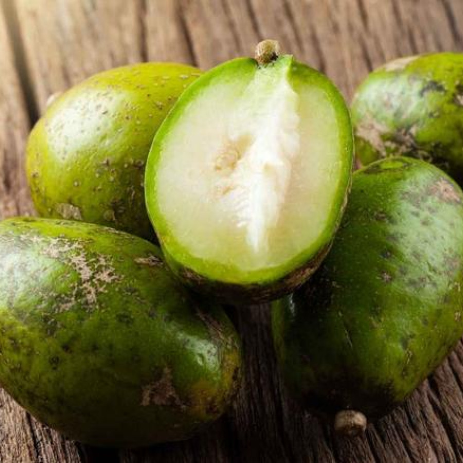 Buah Kedondong Segar