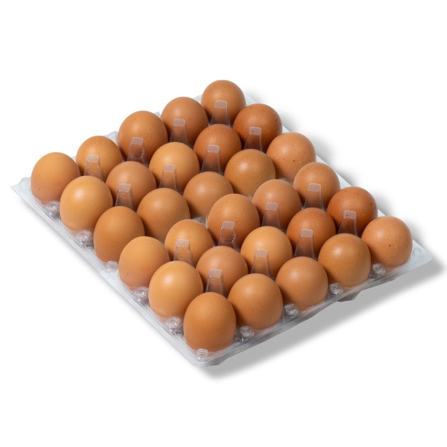 Telur ayam