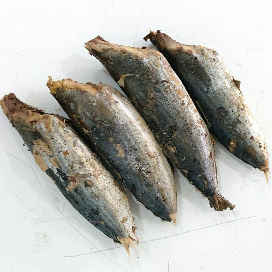 Tongkol Masak 1 Ekor