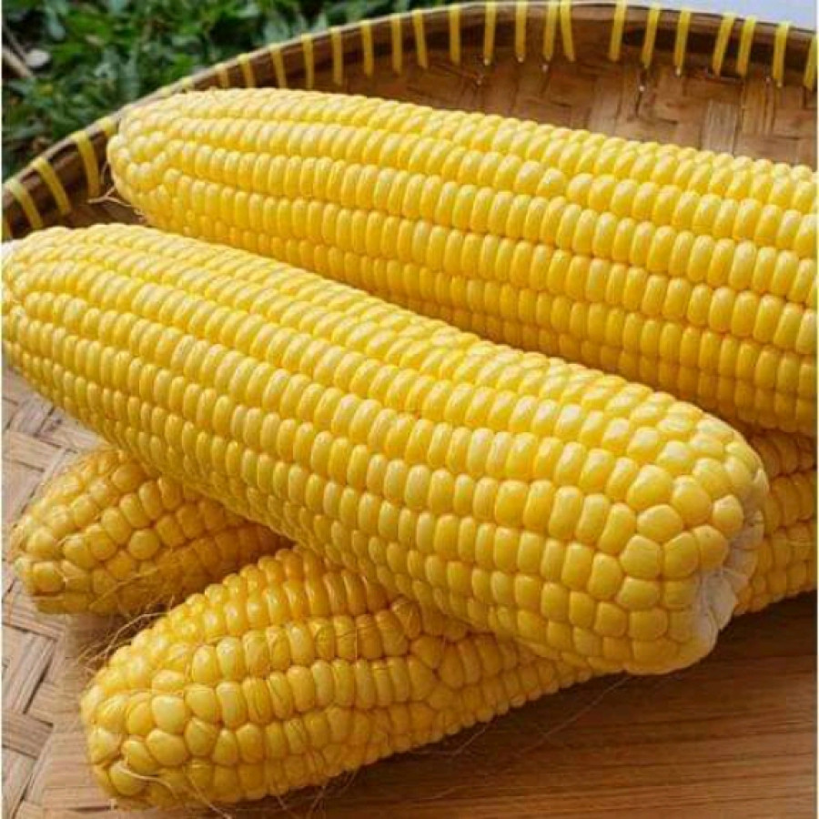 Jagung Manis/Jagung Muda 300gr/Biji