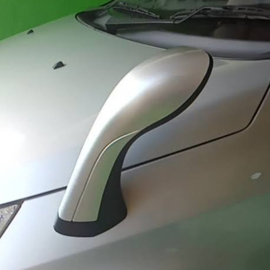 spion tanduk