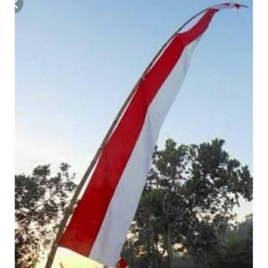 Bendera Layur