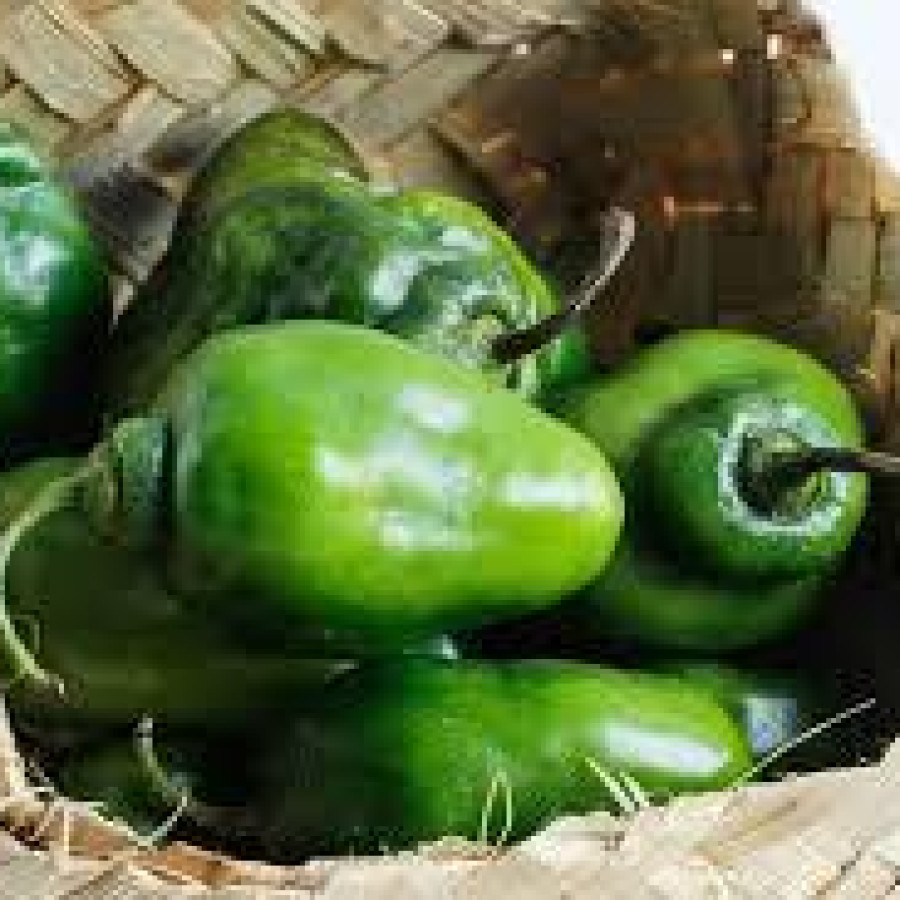 Cabe Gendot
