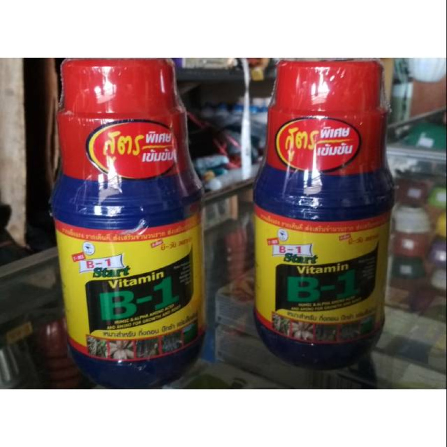 Vitamin B1 Thailand 500 ml