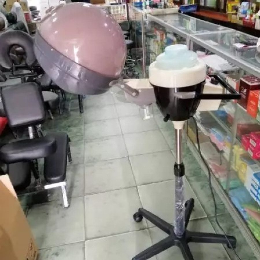 Hair Steamer (Daya 450 Watt)