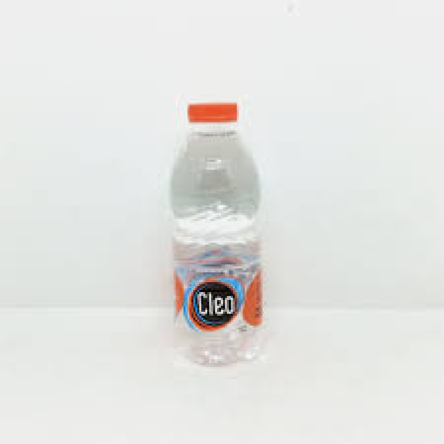 NASI AYAM GORENG KREMES URAP + MINERAL BOTOL 220ML - depan