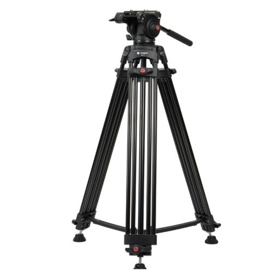 AVANGARDE AVVT234FL Professional Video Tripod