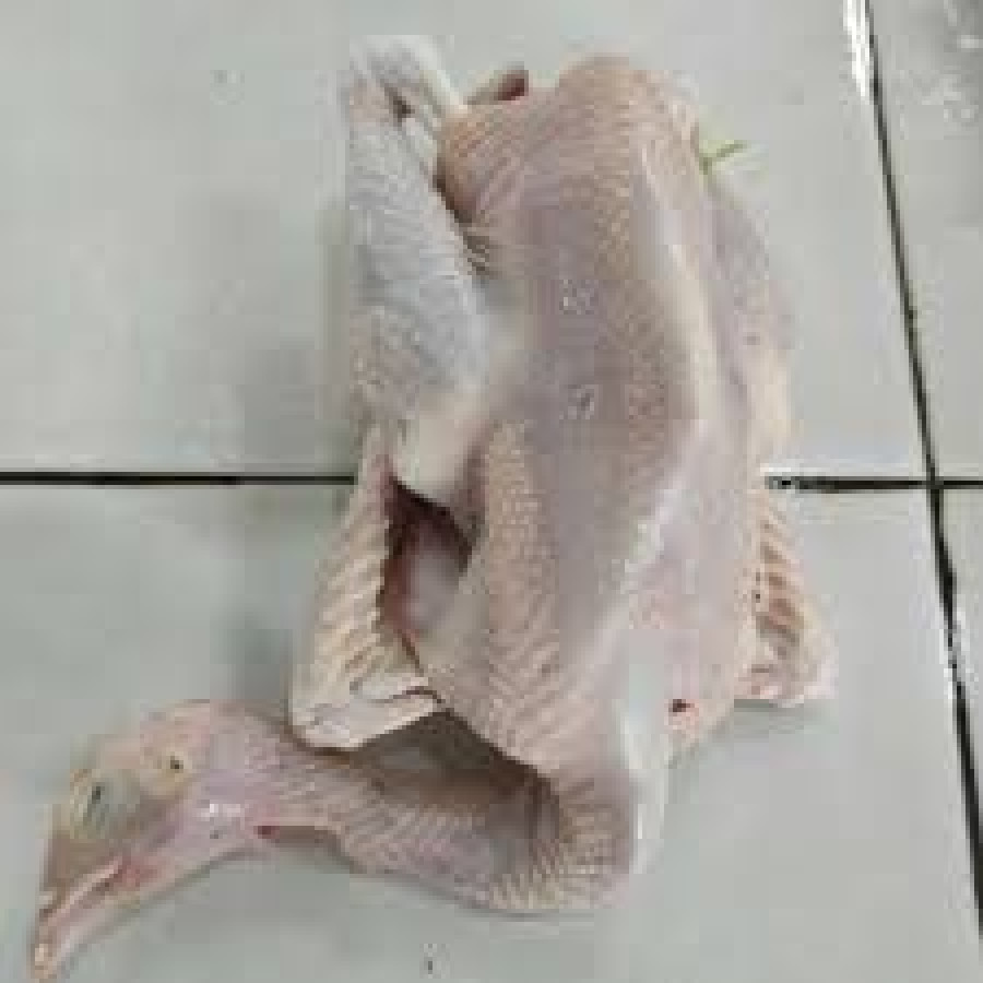 Ayam Kampung