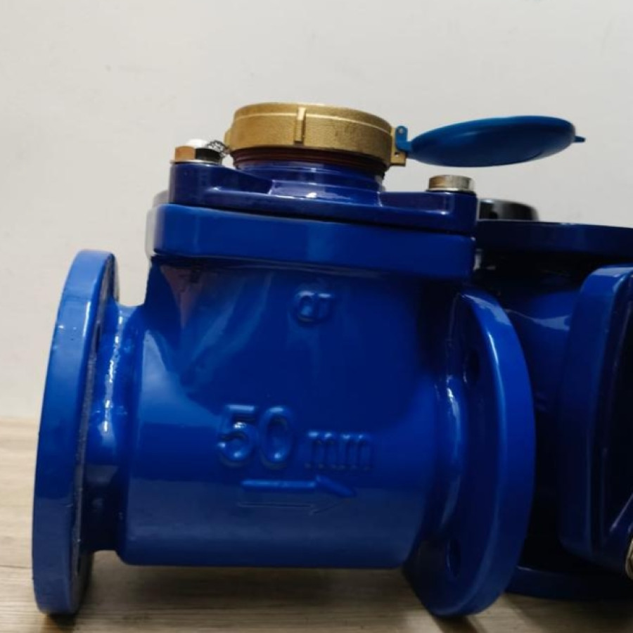 Water Meter Onda 2 Inch - samping