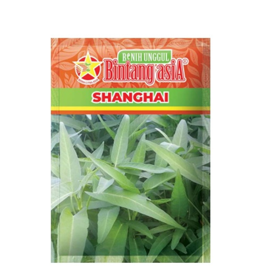 Benih Kangkung Shanghai 50 Gr