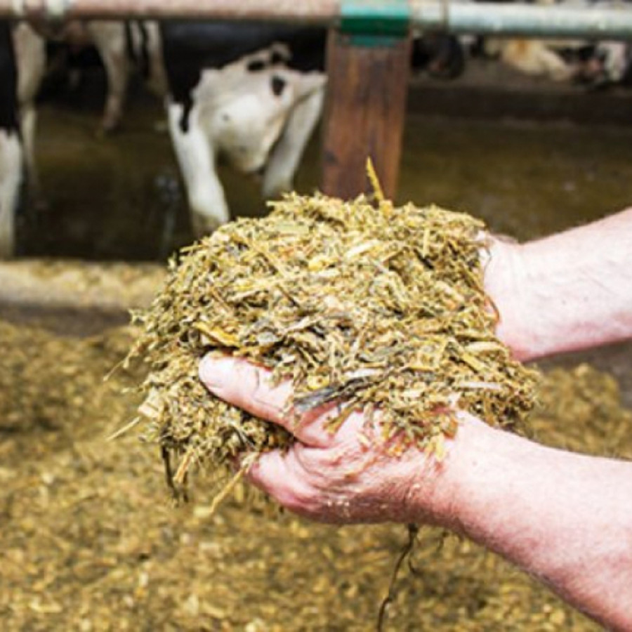 Paket pelatihan pembuatan pakan ternak