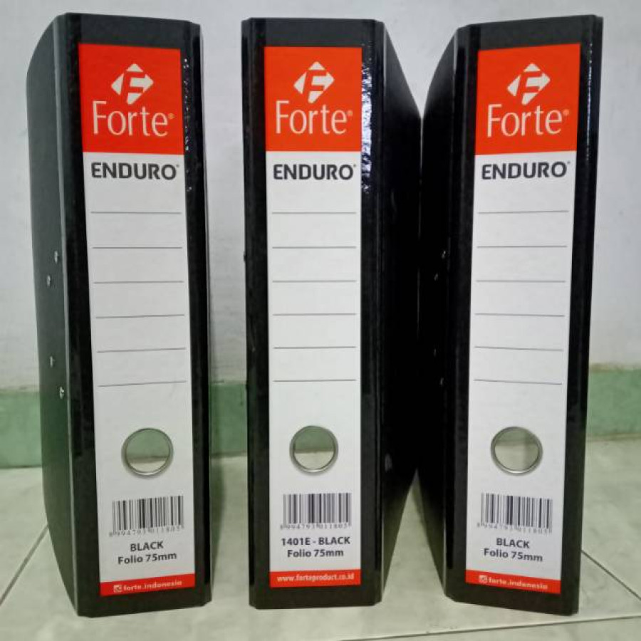 ODNER KARTON FORTE