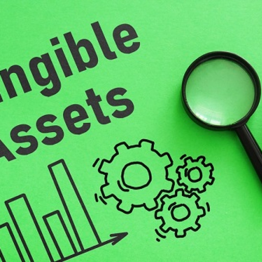 Paket Pemeliharaan Intangible Assets